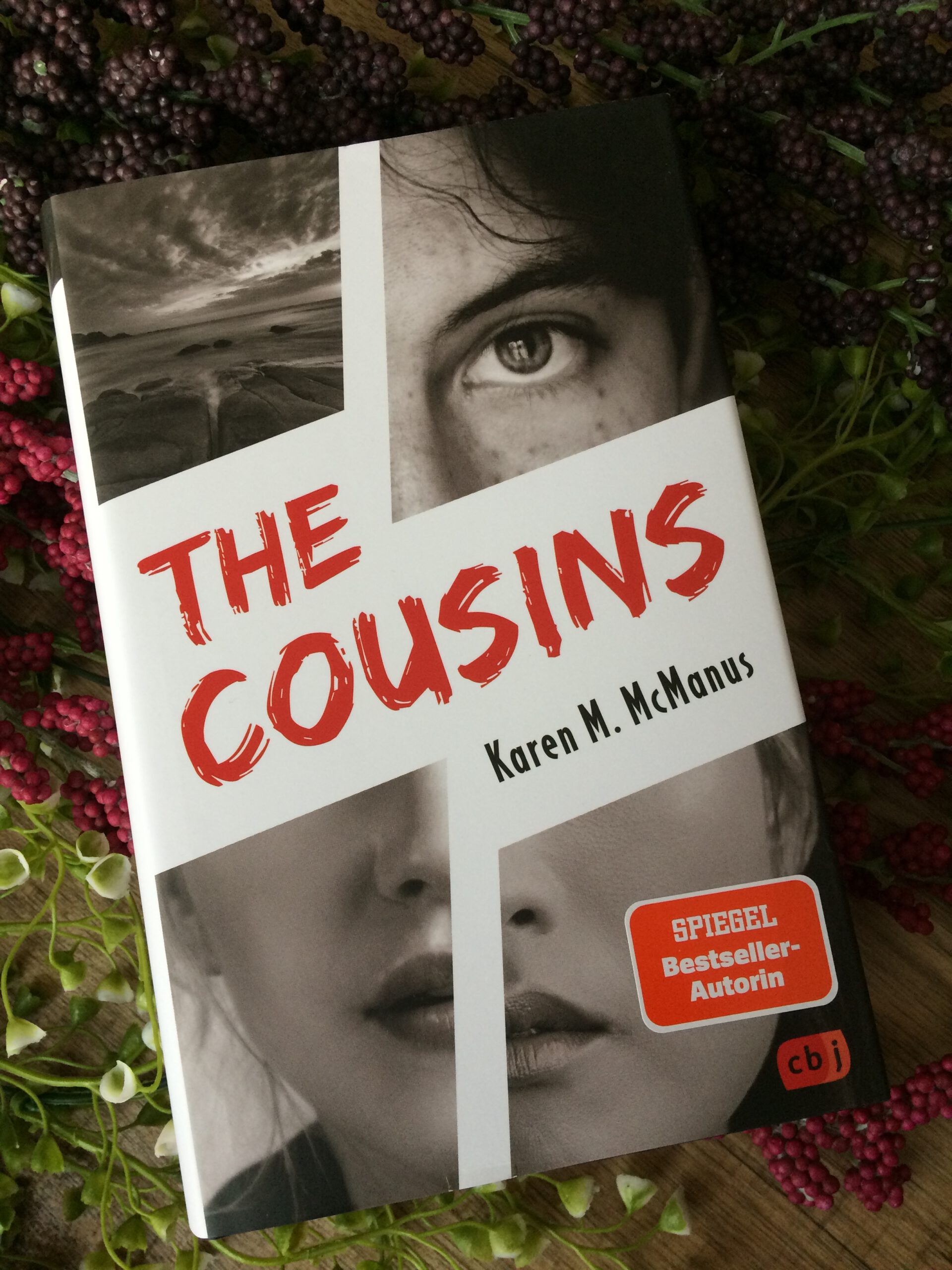 Rezension The Cousins Leos Universum 7943