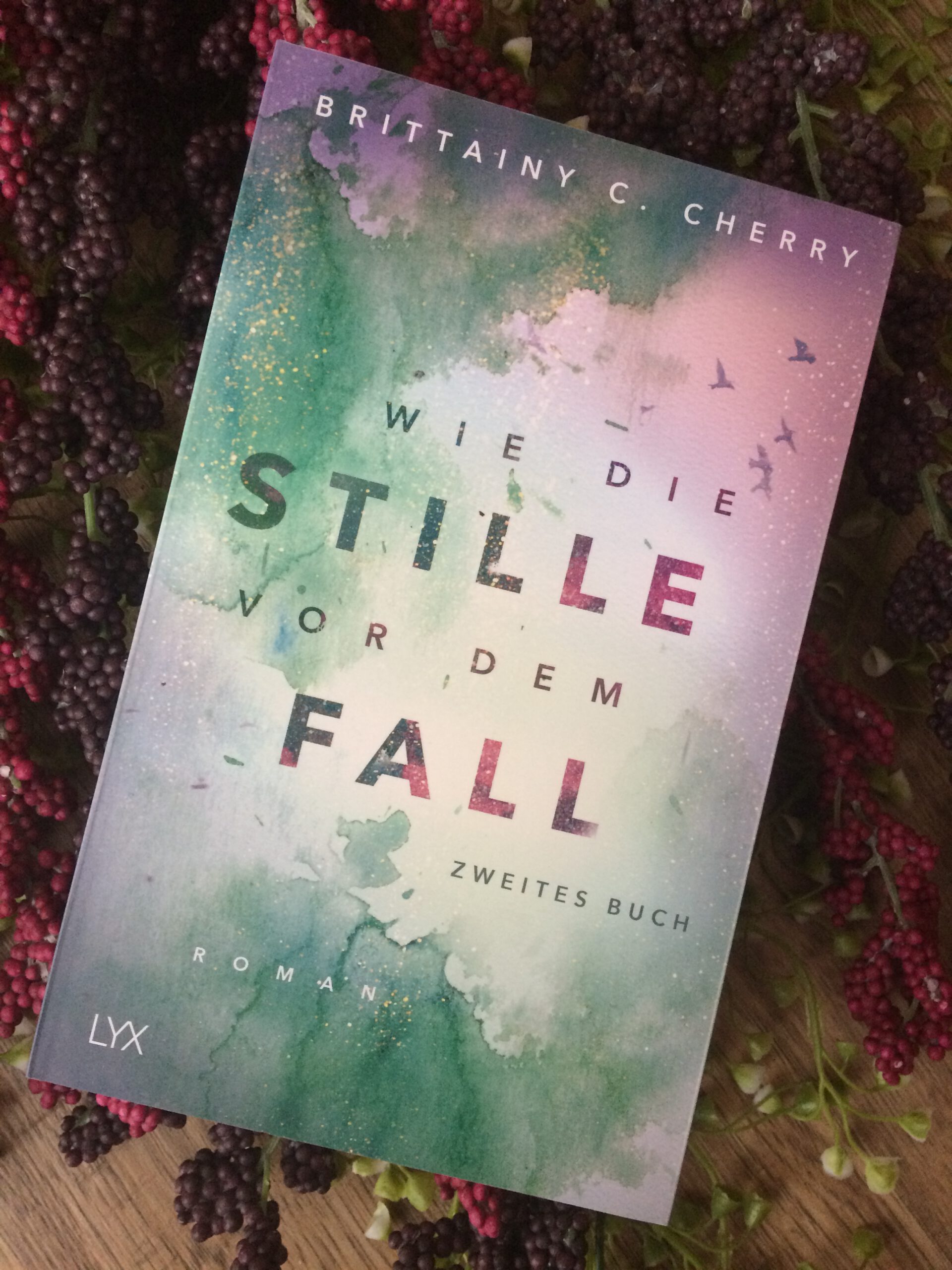 Wie Die Stille Vor Dem Fall Reihenfolge {Rezension} Wie die Stille vor dem Fall(2 Bd. der Chances-Reihe) – Leos