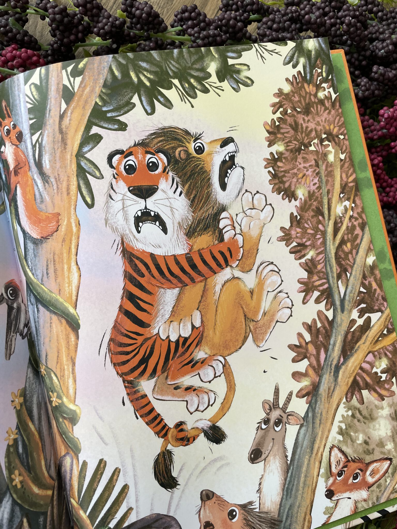 Wer Ist Stärker Tiger Oder Löwe
