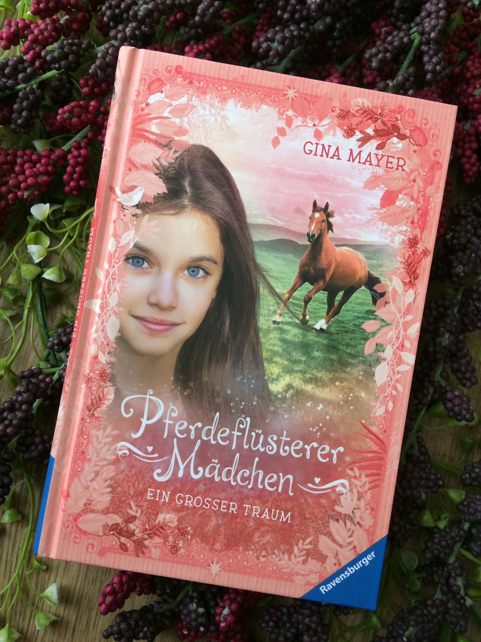 {Rezension} Pferdeflüsterer-MädchenEin großer Traum (Bd. 2) – Leos ...